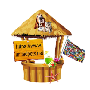 a beach bar